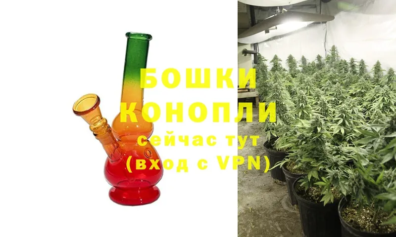 Где продают наркотики Пустошка Cocaine  Конопля  Alpha-PVP  ГАШИШ  АМФЕТАМИН  Меф мяу мяу 